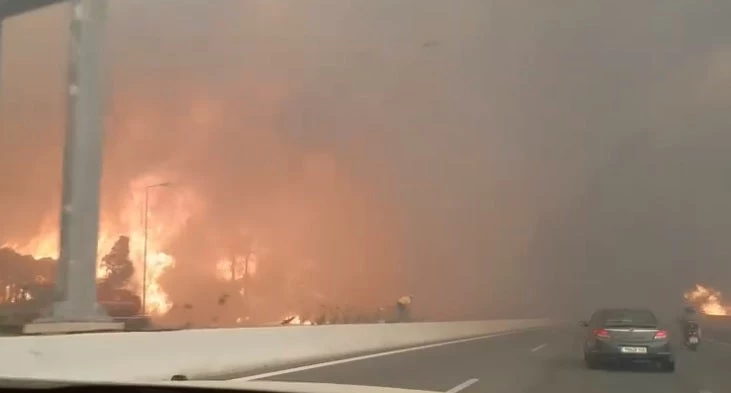 Φωτιά στην Κινέτα: Έκλεισε η Εθνική οδός! Τεράστιες ουρές στον παράδρομο! Διακόπηκαν τα δρομολόγια του Προαστιακού – Συγκλονιστικό βίντεο